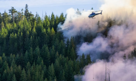 ECOPOL Foams Earn GreenScreen® PFAS‑Free Certification