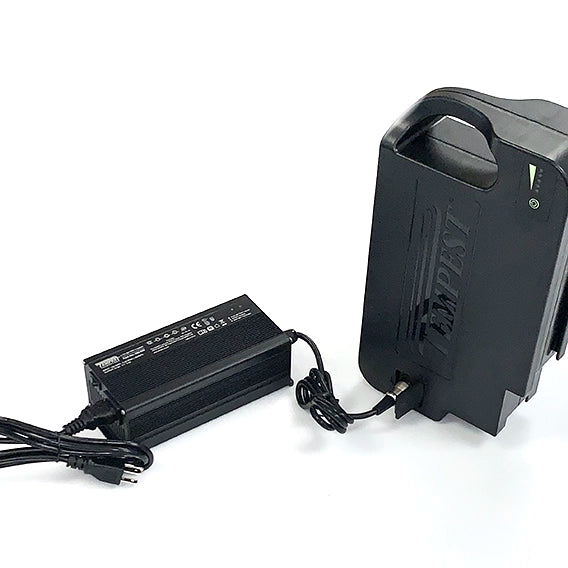VS1.x Battery Charger, Plug In, 110/220 VAC to 48 VDC