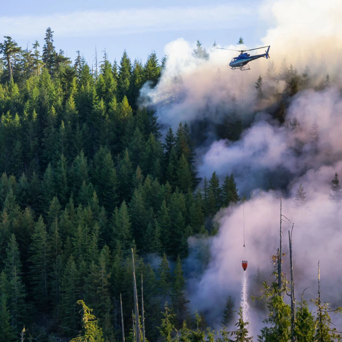 ECOPOL F Fluorine-Free Class A Foam | Wildland & Structural Firefighting | BIOEX